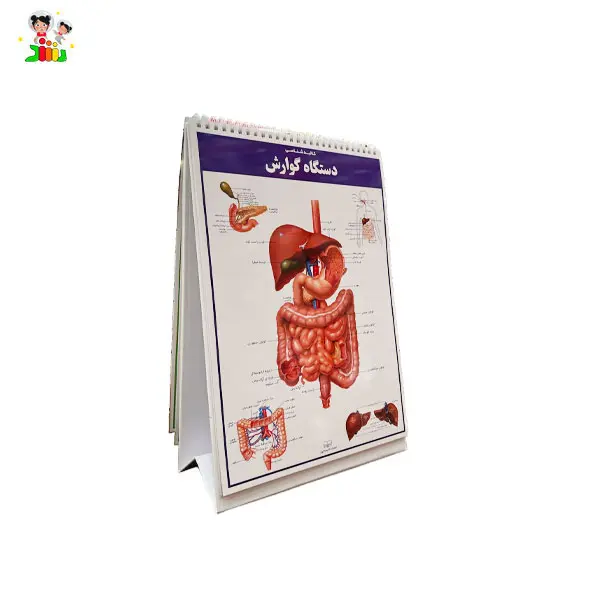 کتاب اطلس کالبد شناسی(آناتومی) بدن انسان | اندیشه کهن